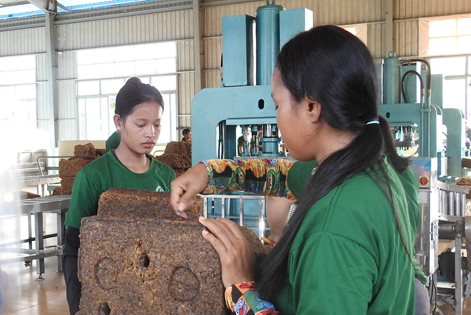 Chu Se Kampong Thom Rubber participates in the Natural Rubber Supply and Demand Forum. - VRG CHU SE - KAMPONG THOM